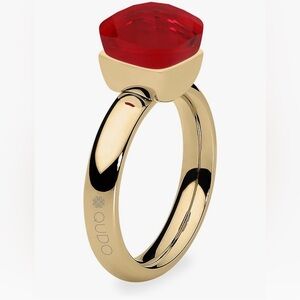 NWOT Gold with Red Stone Ring